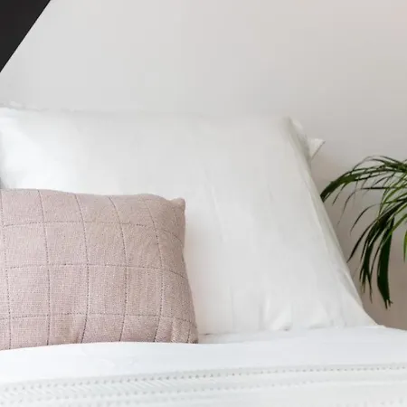 2 Sea Breeze Loft Ii Terrace Family Scheveningen